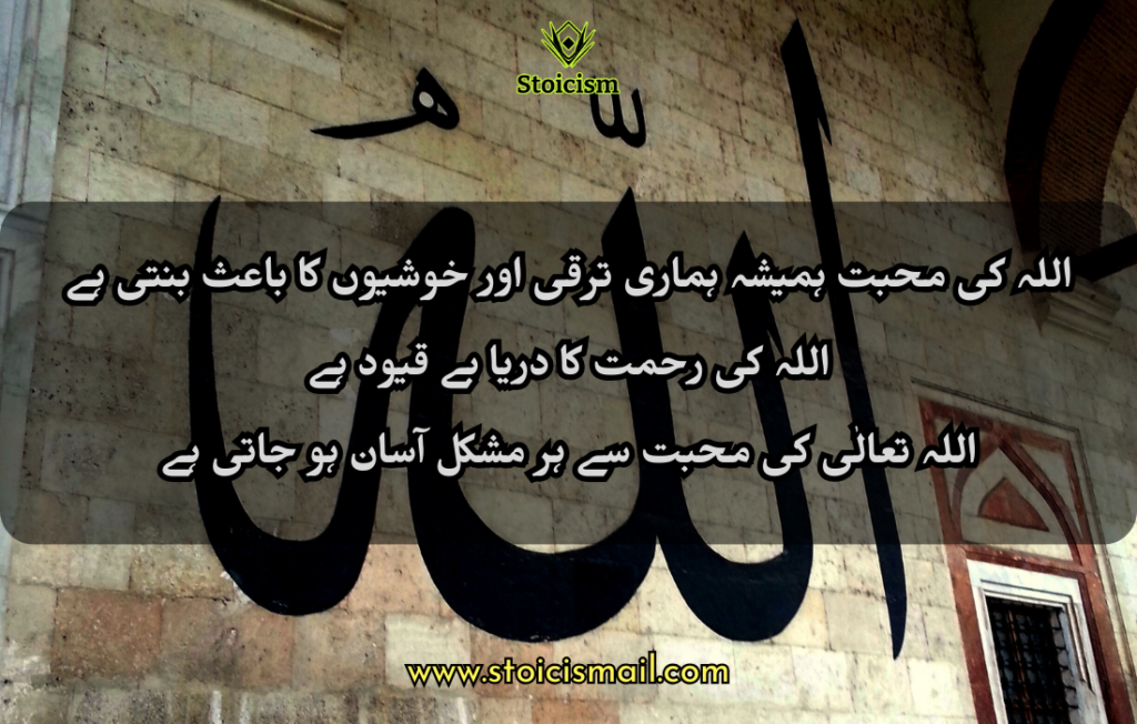 30 Allah Quotes in Urdu