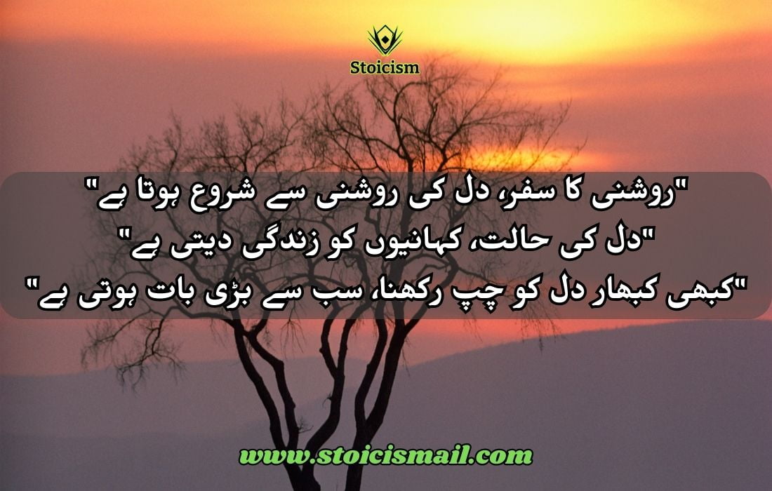 20 Best Quotes in Urdu