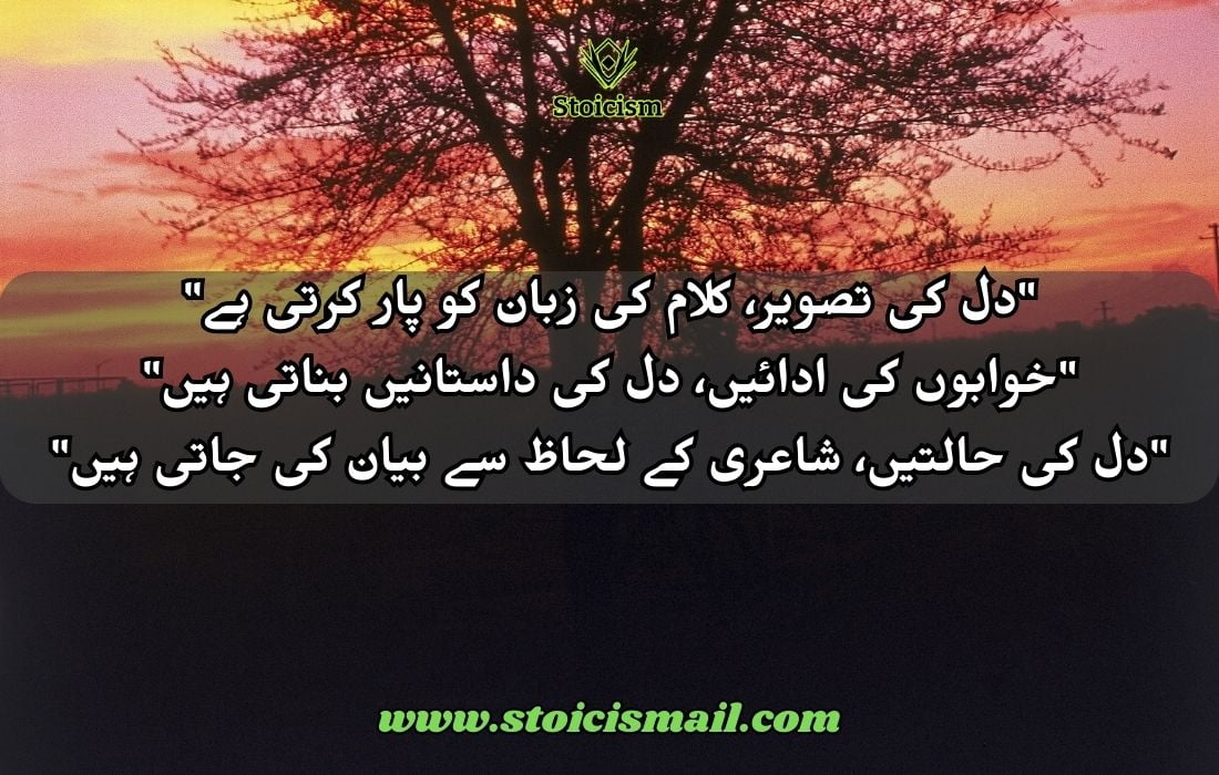 20 Best Quotes in Urdu