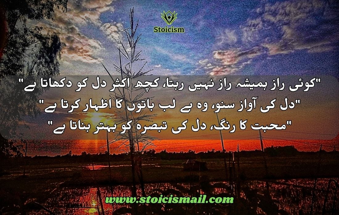 20 Best Quotes in Urdu