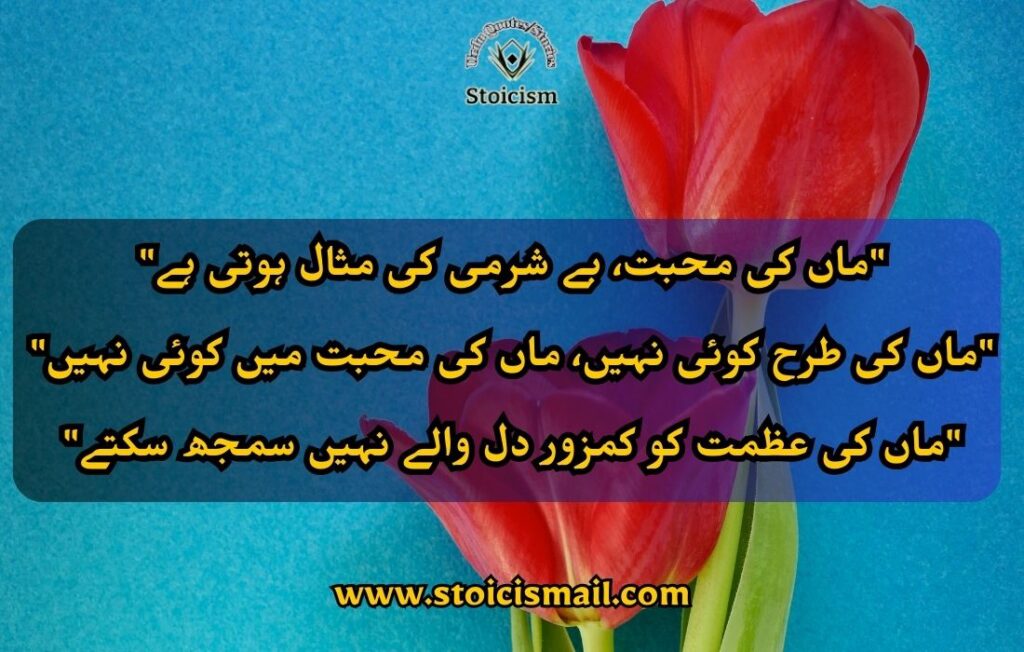 Mother's day quote in Urdu