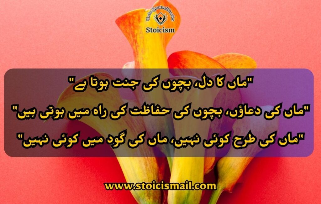 Mother's day quote in Urdu