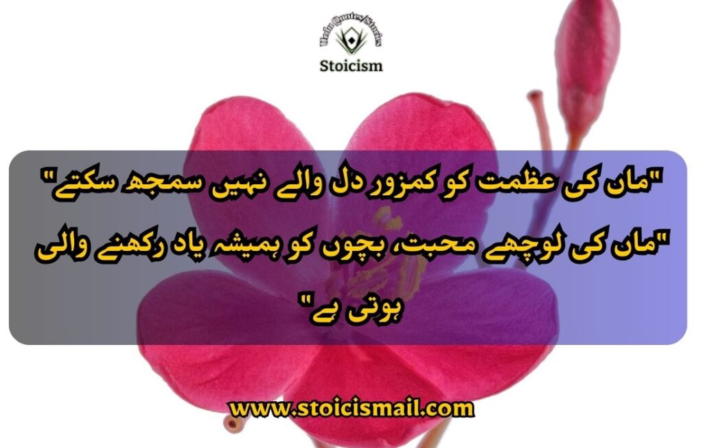 Mother's day quote in Urdu